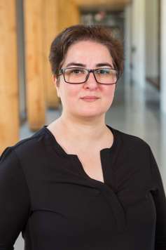 Maral-Niazi