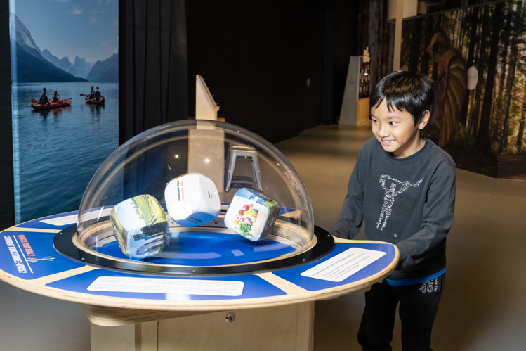 child looking at exhibit
