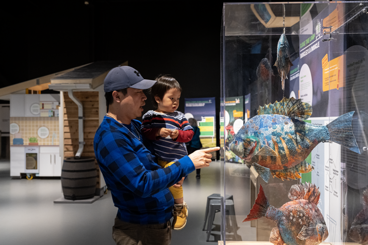 father carrying child pointing at exhibit